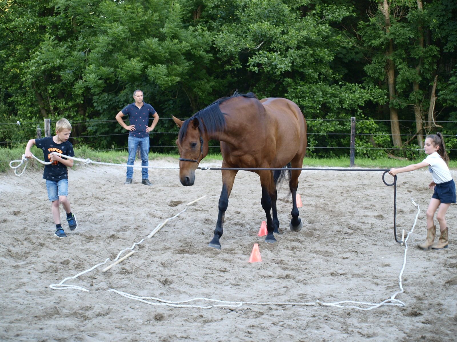 coachen met paarden oefening spiegelen teamwork samenwerken